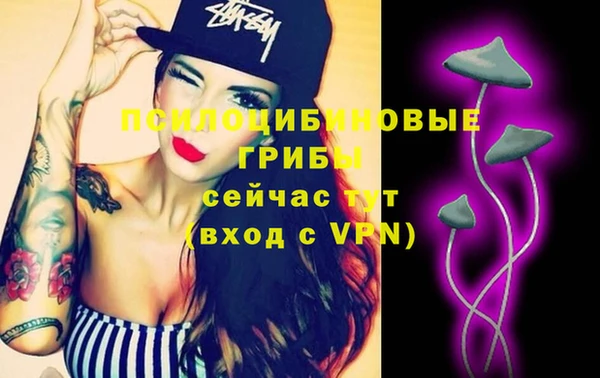 2c-b Алексин