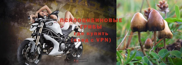 2c-b Алексин